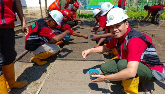 Perhutani KPH Bondowoso Laksanakan Tebar Benih Pinus Serentak di BKPH Sukosari