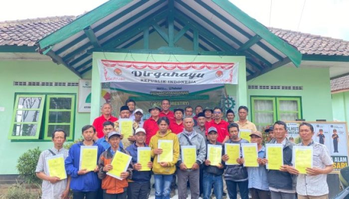 Perhutani KPH Bondowoso Tandatangani dan Serahkan PKS Agroforestry kepada LMDH Spirit Ijen dan LMDH Gunung Hijau